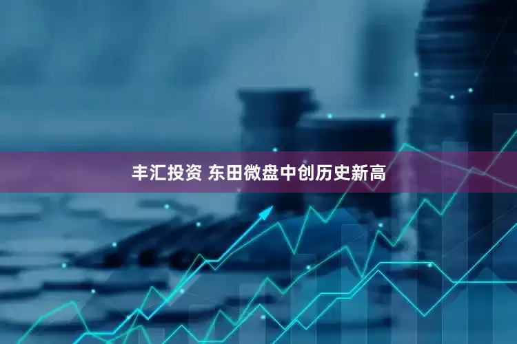 丰汇投资 东田微盘中创历史新高